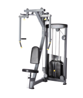 BRONZE GYM D-002A Грудь/Задняя дельта 