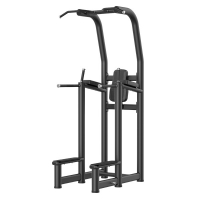 Силовой тренажер Smith Fitness RE6008 Подтягивание/отжимание/поднятие коленей