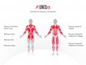 Силовой тренажер UNIXFit BLOCK MAX
