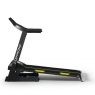 Беговая дорожка Diamond Fitness Radio 60 pro